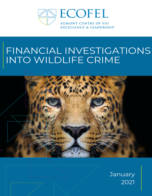 ECOFEL Financial Investigations into Wildlife Crime Report