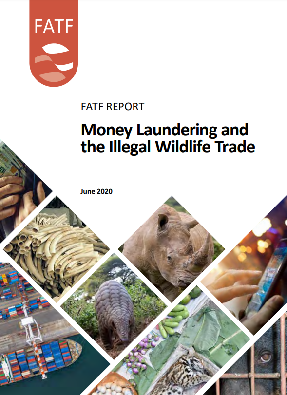 Money laundering and the Illegal Wildlife Trade