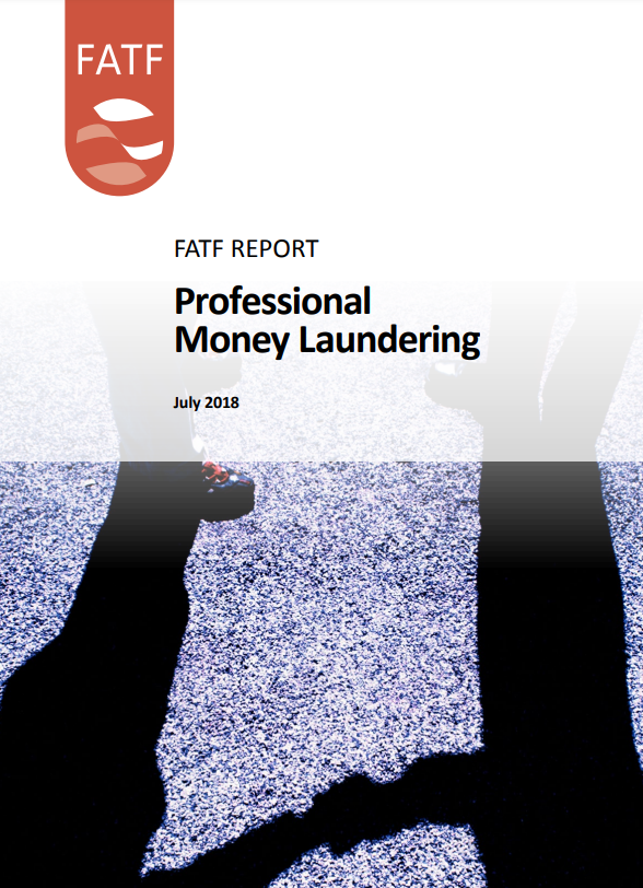 Professional Money Laundering