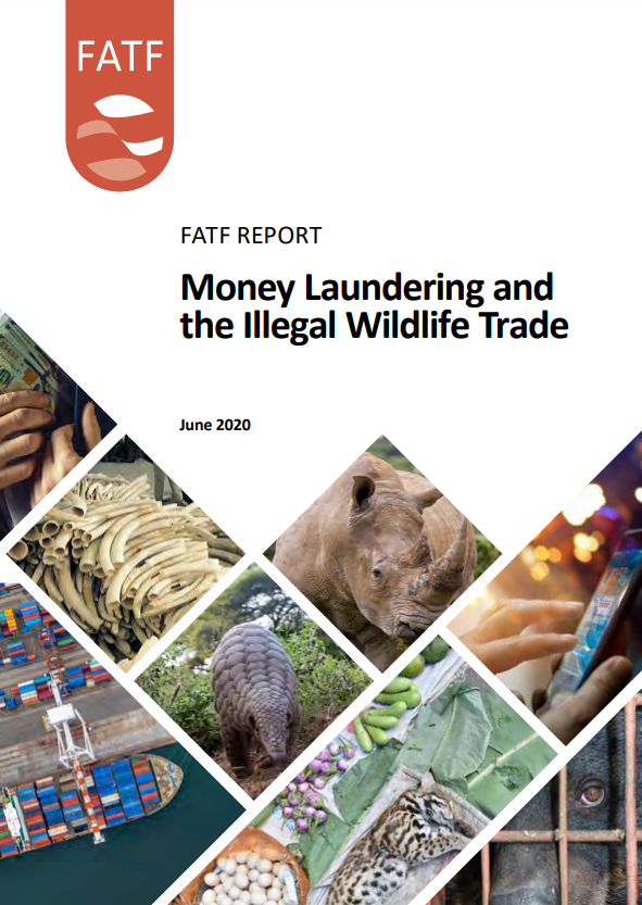 Money laundering and illegal wildlife trade